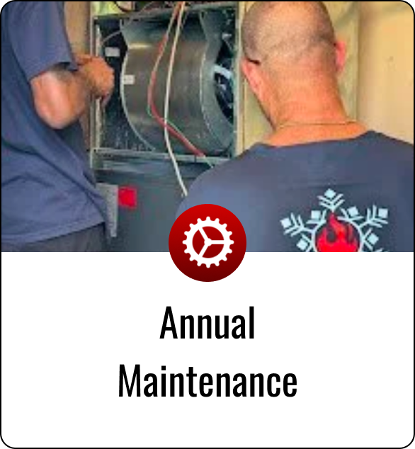 Annual Maintenance